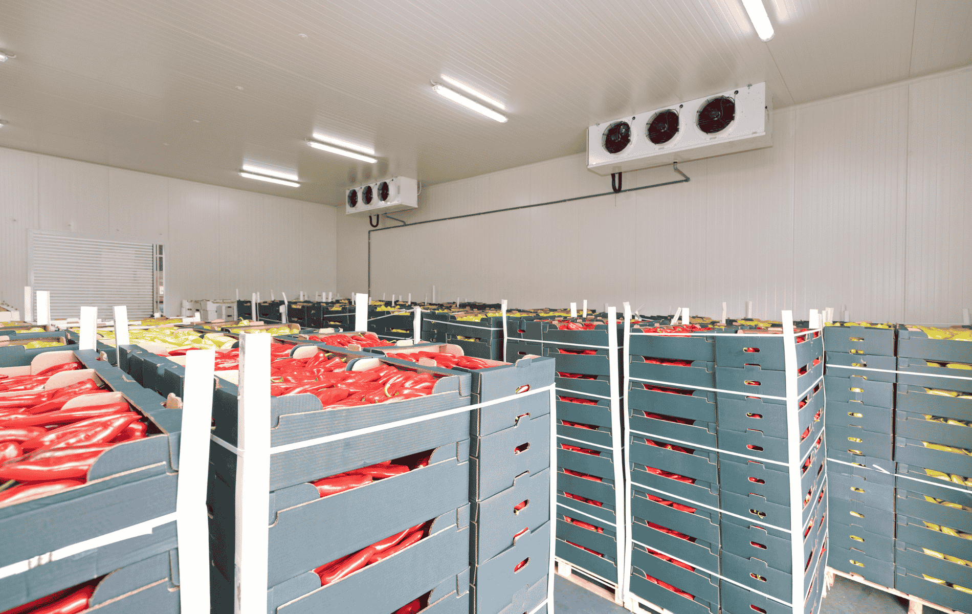Installation et réalisation sur mesure de chambre froide positif pour primeur à Pau - Le Froid Pyrénéen